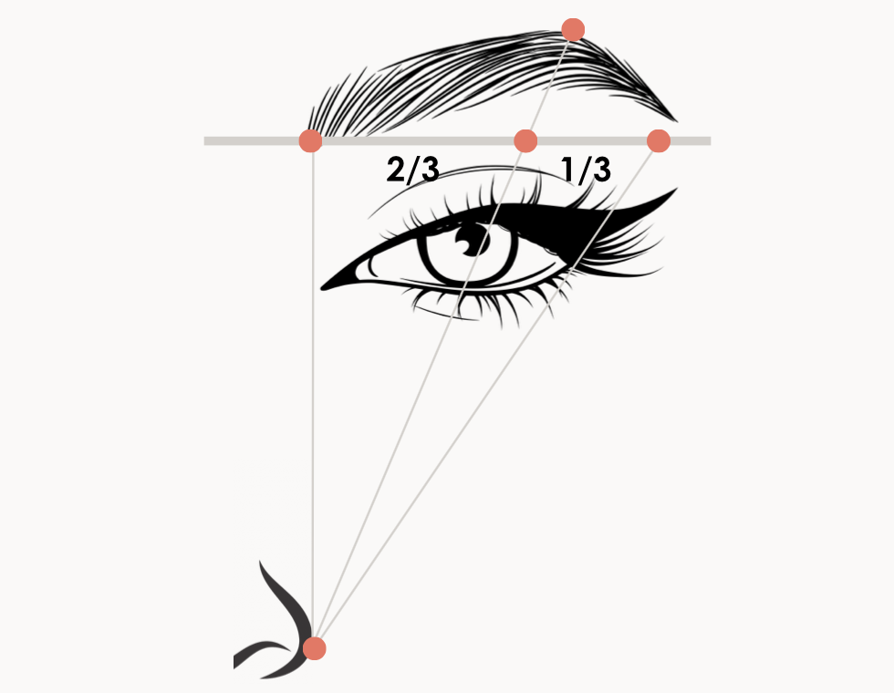 How To Create Symmetrical Eyebrows Waxbare How To Create Symmetrical Eyebrows Waxbare